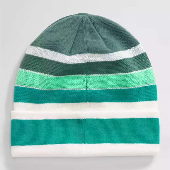 The North Face Retro Logo Beanie, Dark Sage - Picture 3 of 3